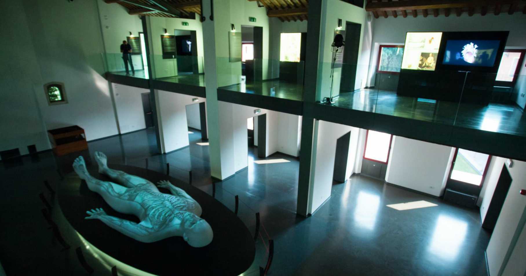 musme, padova, unipd, aperture serali, agosto