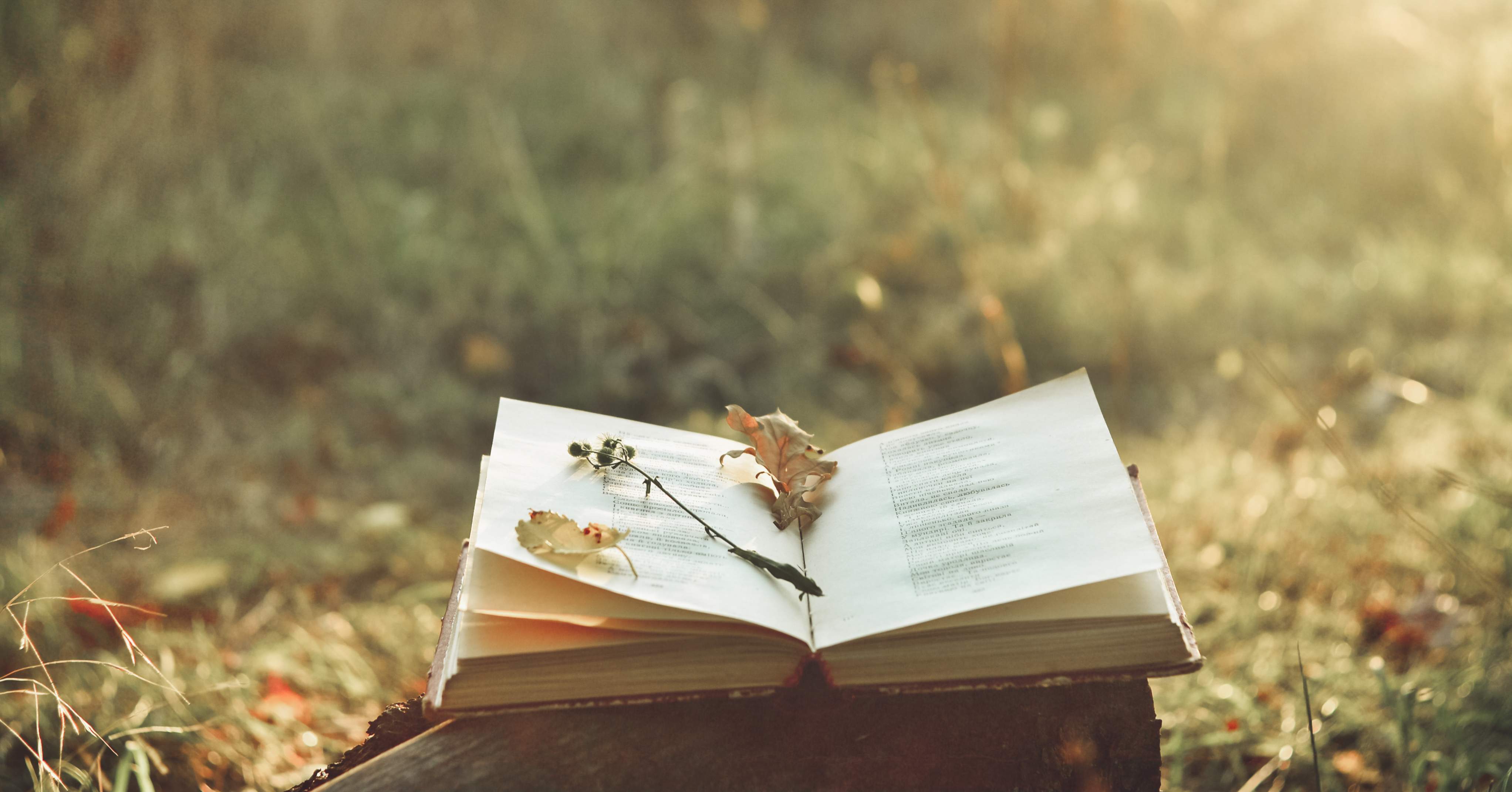 libro libro