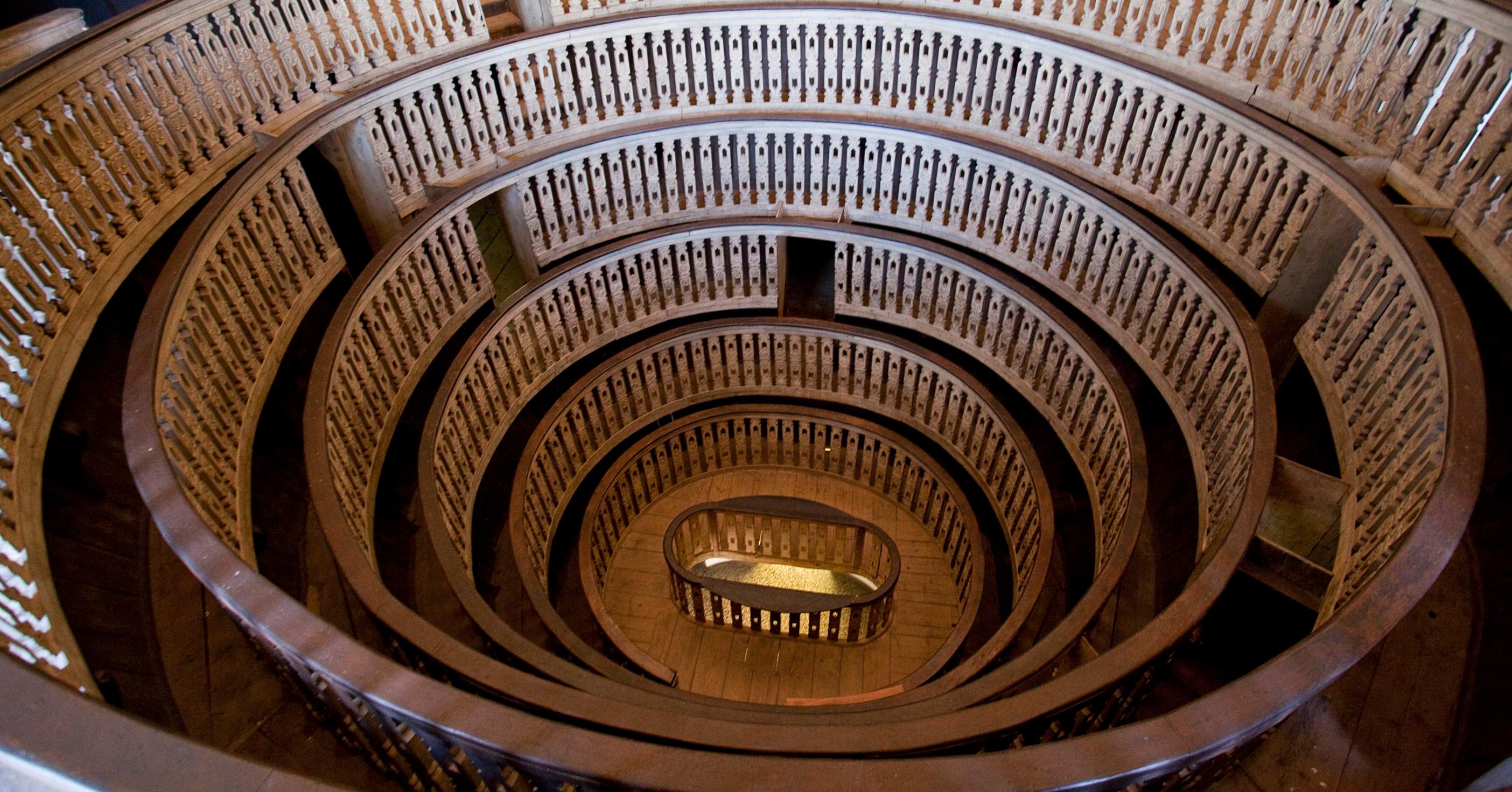 teatro anatomico teatro anatomico