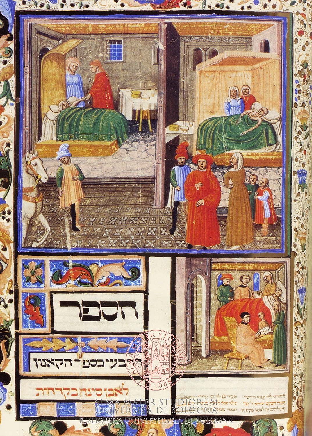 Avicenna Avicenna