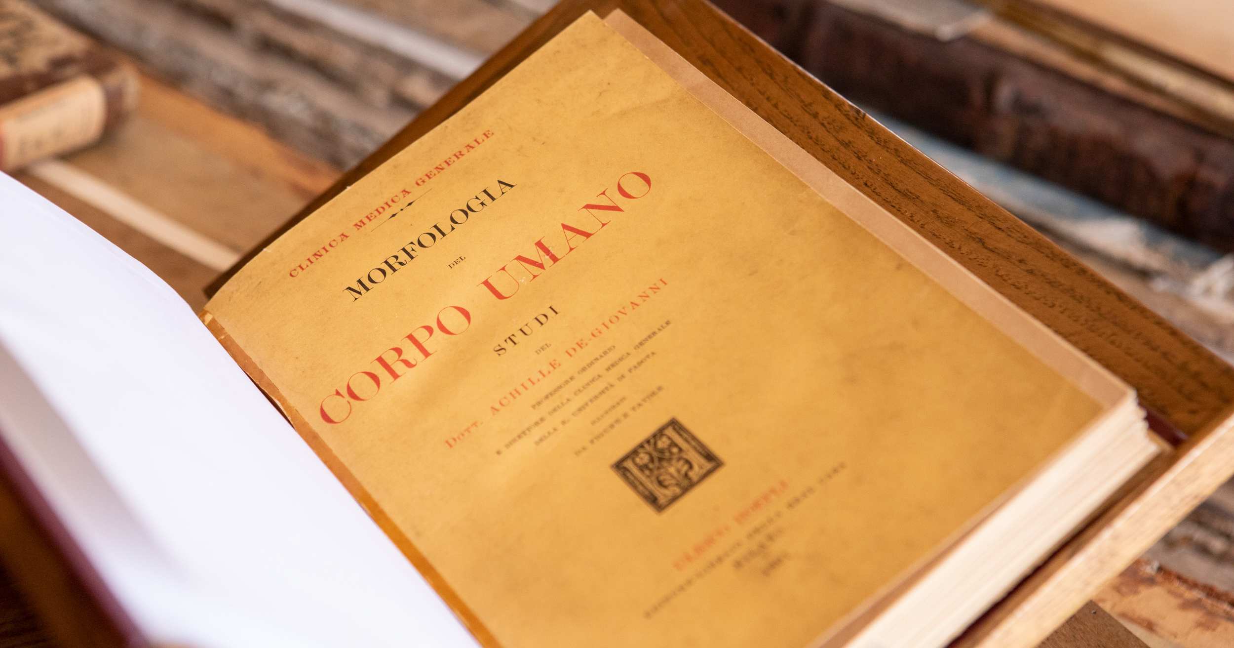 libro libro