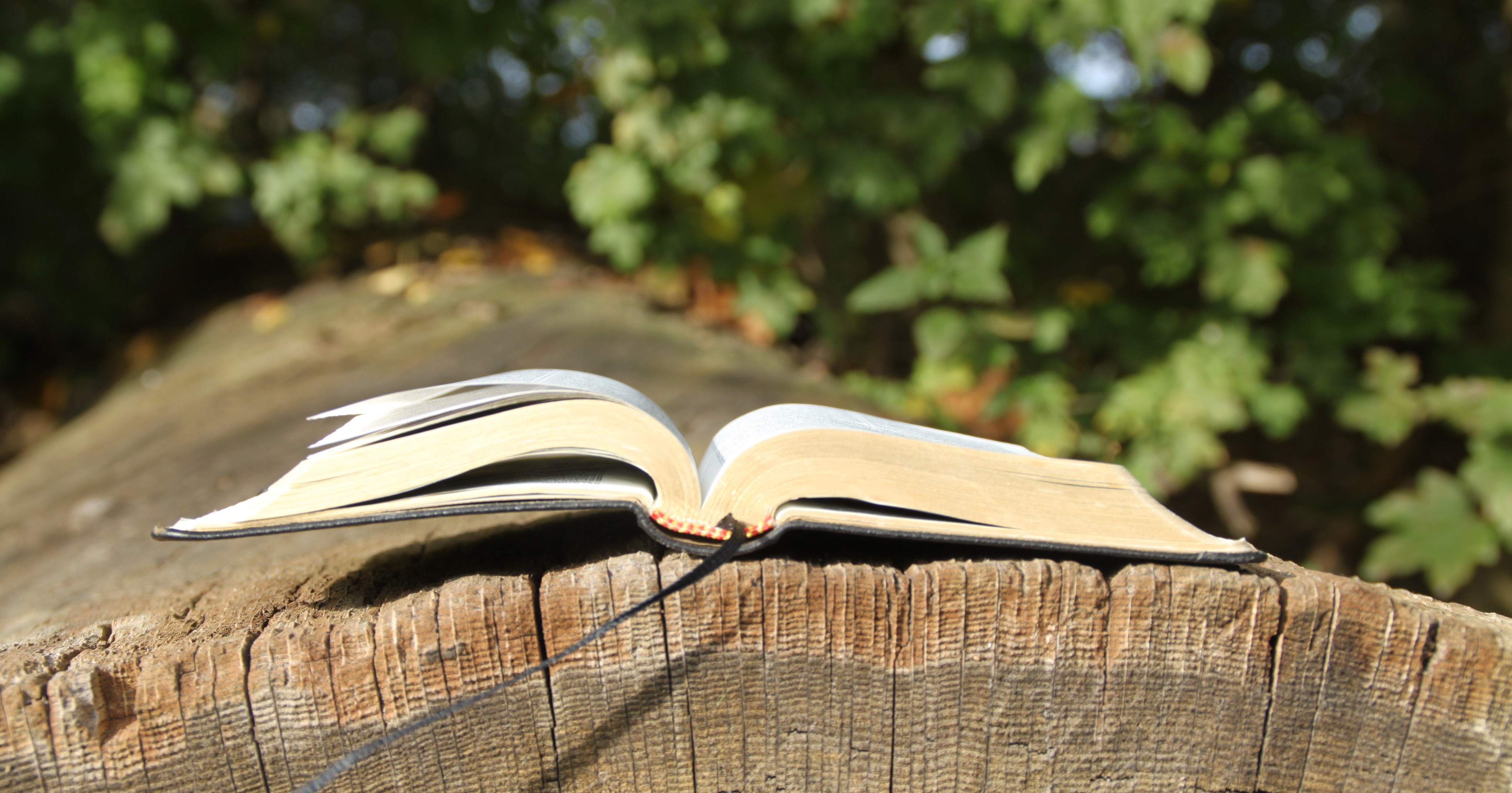 libro libro