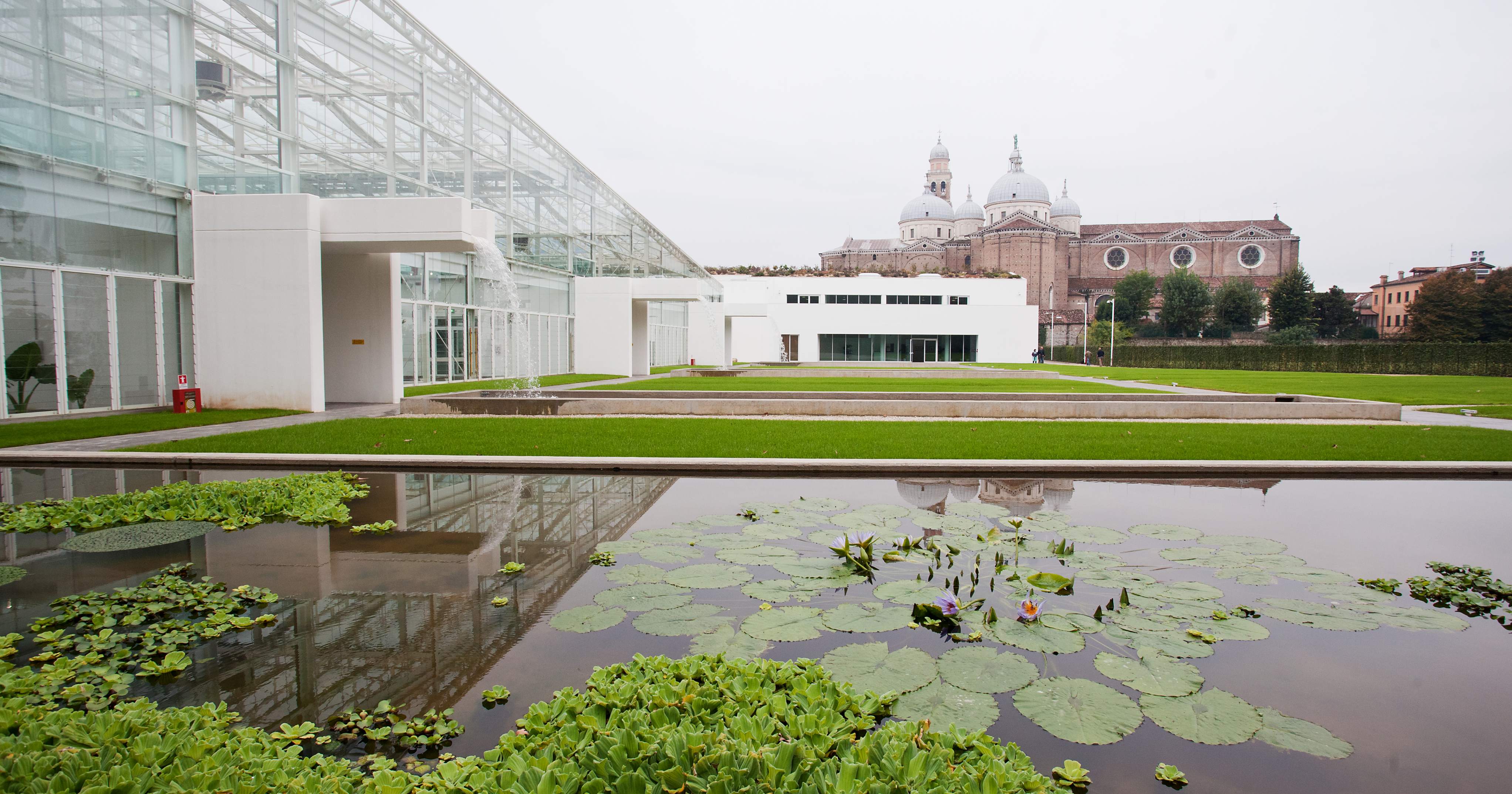 orto botanico orto botanico