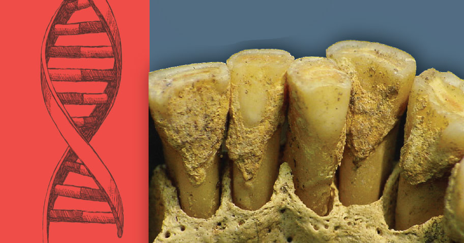 denti antichi e dna