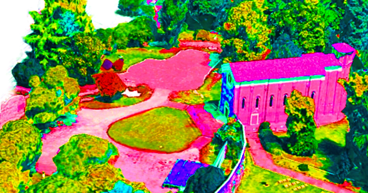 area scrovegni padova