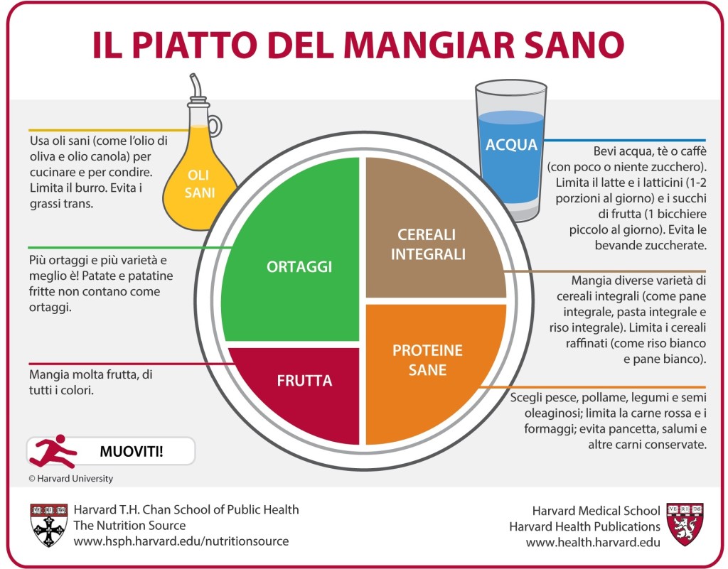 Piatto del mangiar sano Piatto del mangiar sano