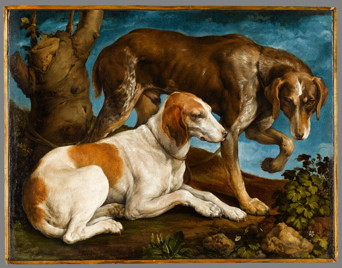 "Ritratto di due cani legati a un tronco", 1548-1550 ca., olio su tela, Musée du Louvre, Département des Peintures, Parigi Credit: © Parigi, Louvre/RMN-Grand Palais /Stéphane Maréchalle/Dist. Foto SCALA, Firenze, 2021