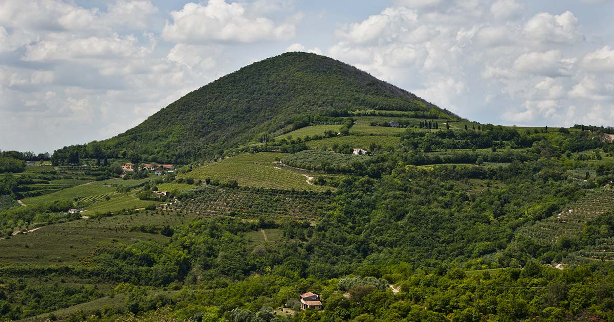 colli