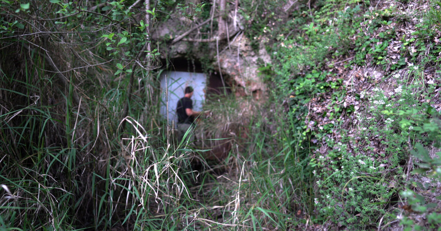 persona nella natura