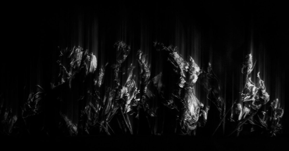 immagine bianco e nero