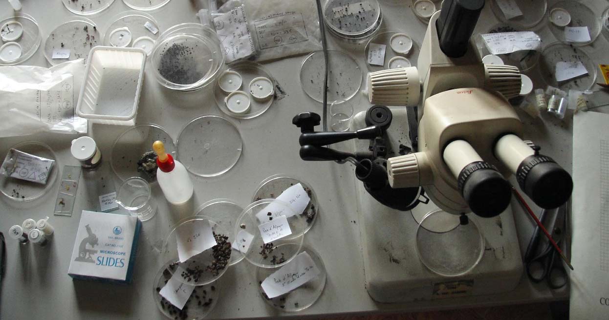 laboratorio