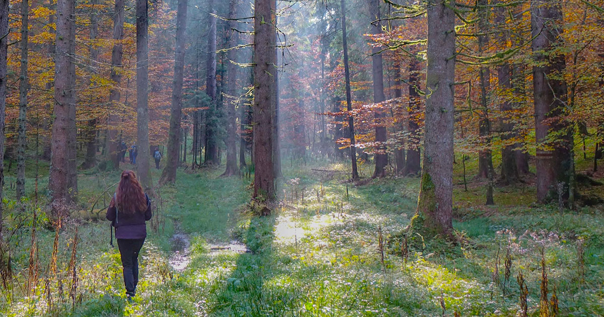 donna nella foresta
