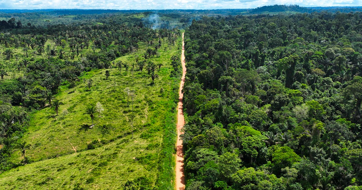 La deforestazione nella foresta amazzonica