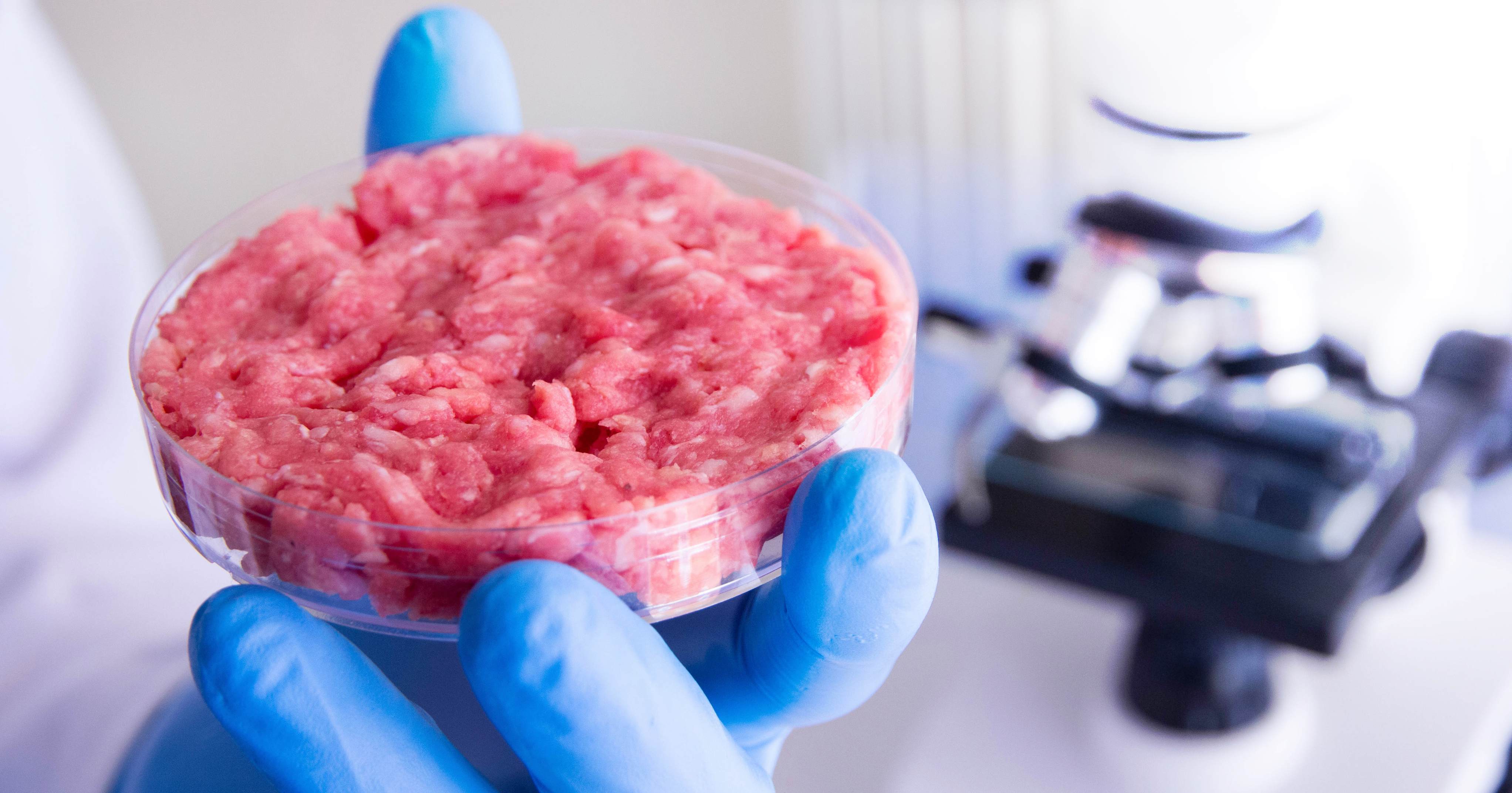 Carne coltivata Carne coltivata