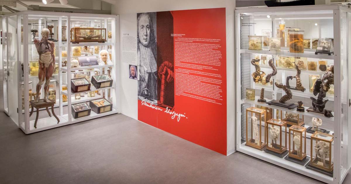 museo morgagni