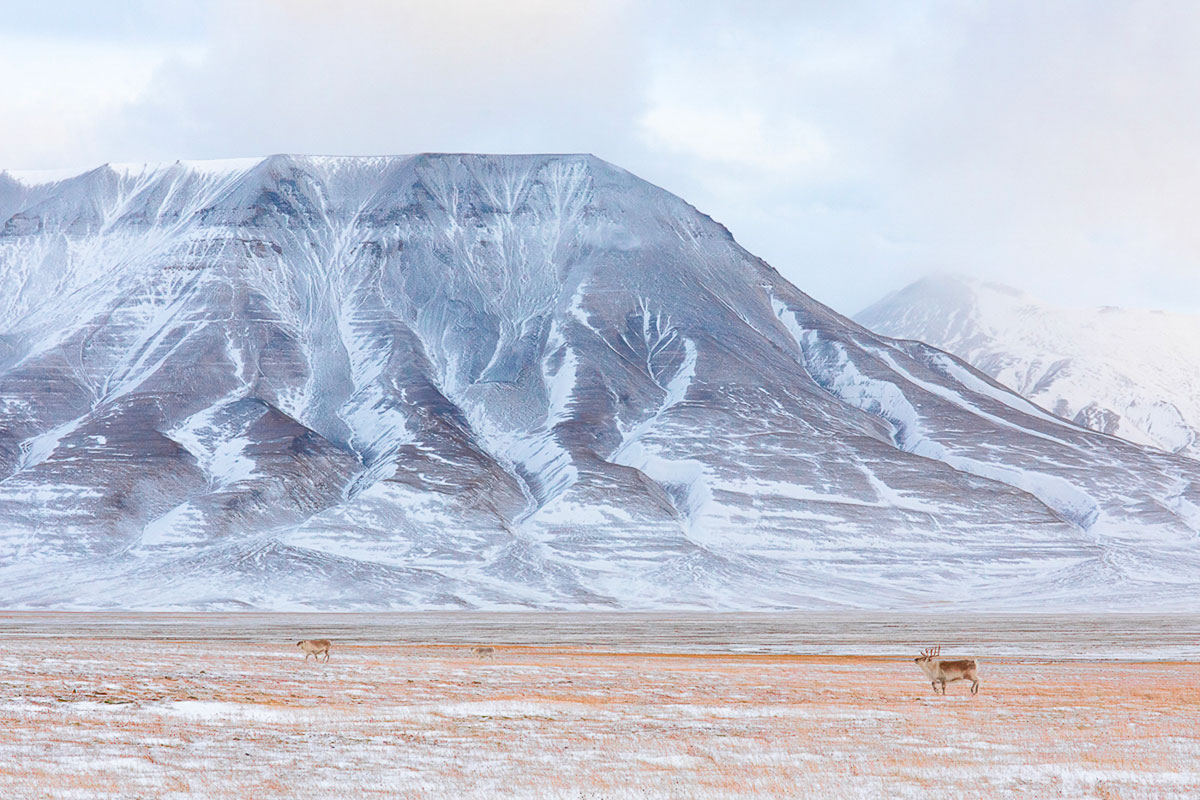 serata-giugno-2025-svalbard-foto-marco-franchi