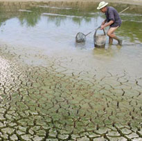cambiamento climatico