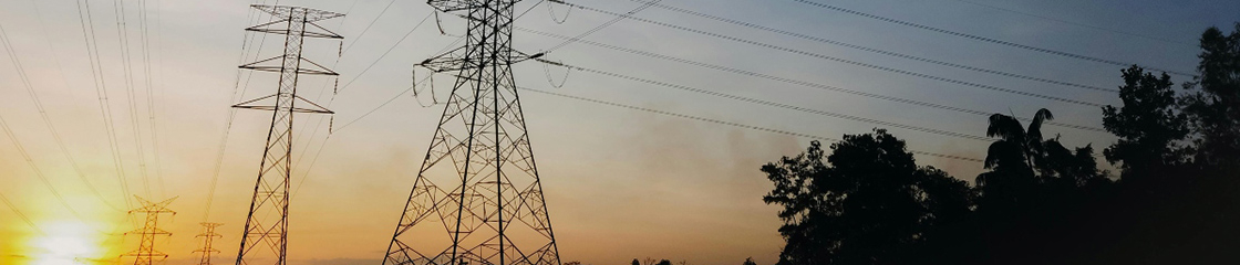 sostenibilità di carta