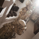 Museo di antropologia