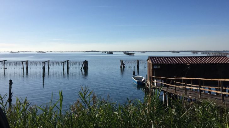 delta del po