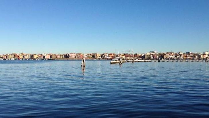 chioggia