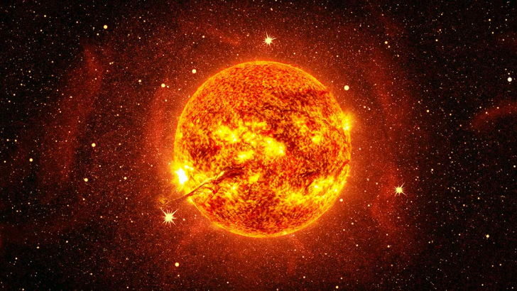 sole
