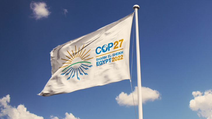 cop27 bandiera